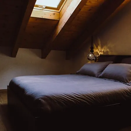 The Cozy Nest -