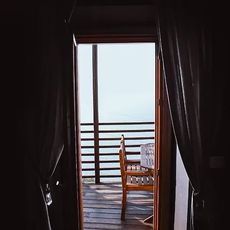 The Cozy Nest - *