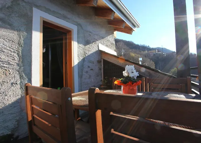 The Cozy Nest -