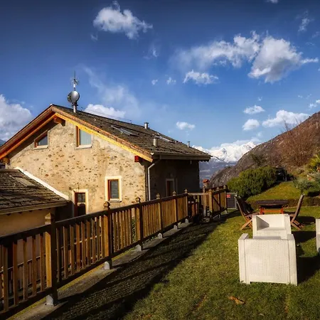 The Cozy Nest - *